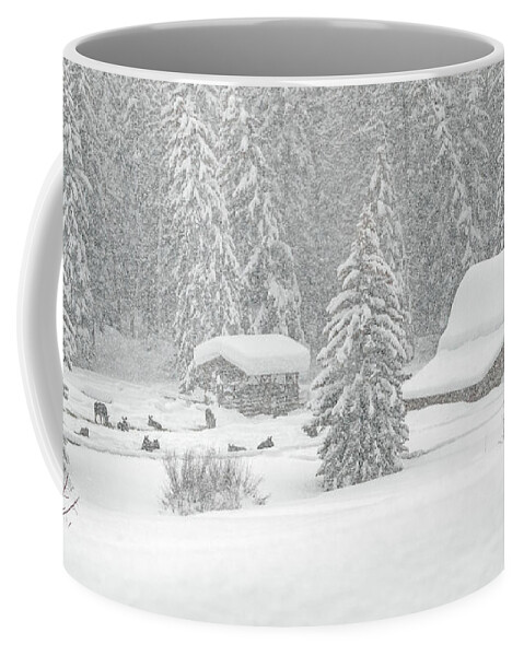 Animals Coffee Mug featuring the photograph Snow and Moose by Ronnie And Frances Howard