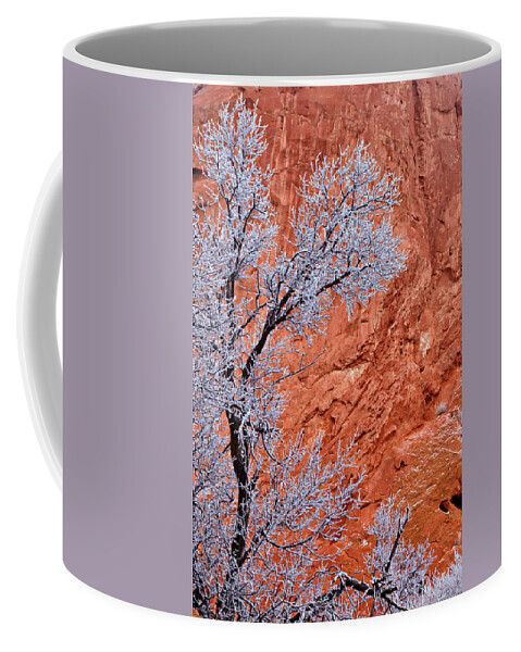 Red Rocks Coffee Mug featuring the photograph Snow and Red Rocks by Bob Falcone