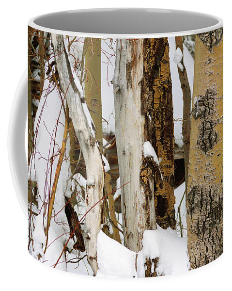 Snow Coffee Mug featuring the photograph Snow Covered Aspen Bark, Mammoth Lakes, Californa by Bonnie Colgan