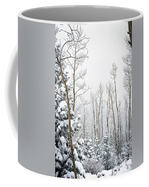 Snow Coffee Mug featuring the photograph Snow Covered Aspen Grove by Rebecca Herranen
