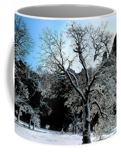Dave Welling Coffee Mug featuring the photograph Snow Covered Black Oaks Quercus Kelloggii Yosemite by Dave Welling