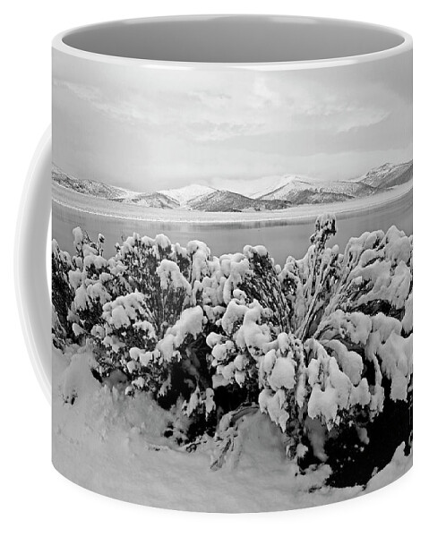 Snowy Landscape Coffee Mug featuring the photograph Snow covered bushes Sajama National Park Bolivia by James Brunker