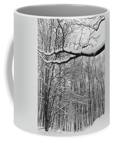 Snow Coffee Mug featuring the photograph Snow Covered Trees Jan 2024 by Emmy Marie Vickers
