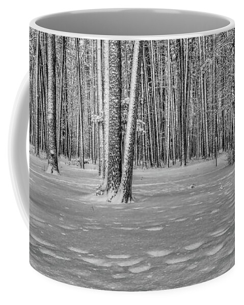 Winter Coffee Mug featuring the photograph Snow Covered White Pine Trees by Dale Kauzlaric