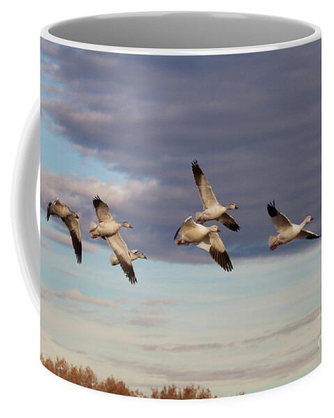 Goose Coffee Mug featuring the photograph Snow Geese in New Mexico by Ruth Jolly
