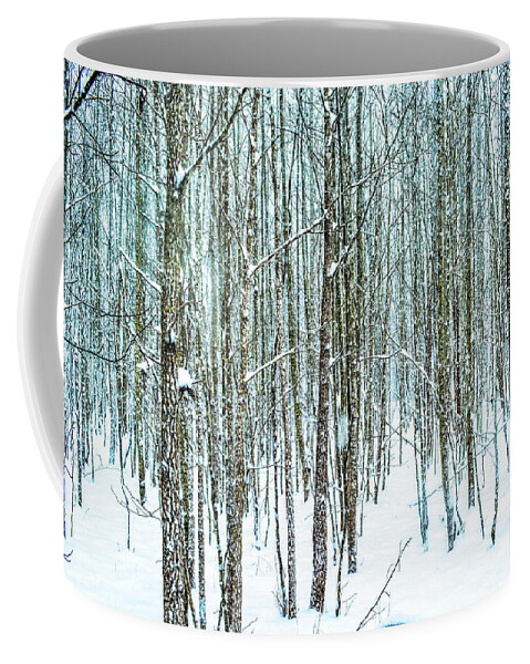 Cold Coffee Mug featuring the photograph Snow Grove by Addison Likins