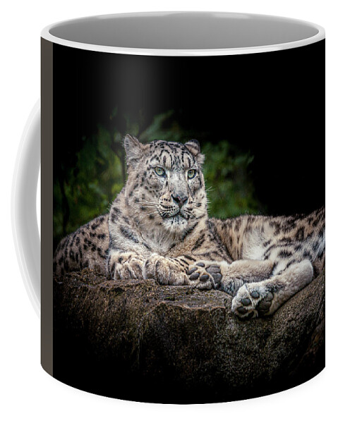 Animal Coffee Mug featuring the photograph Snow Leopard on the rocks by Chris Boulton