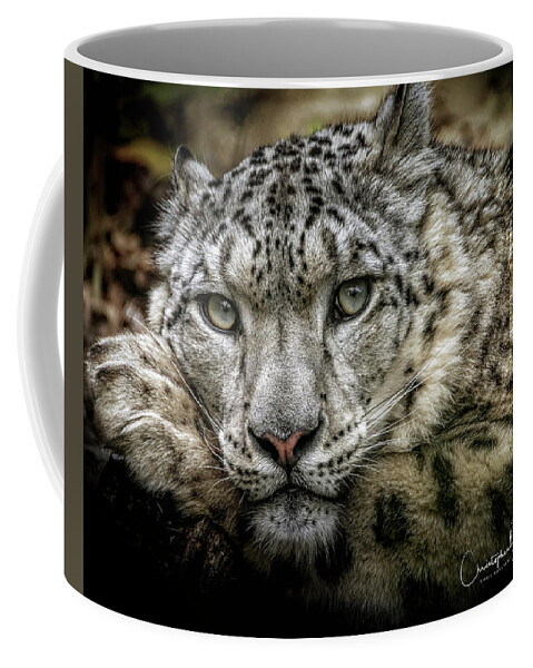 Snow Coffee Mug featuring the photograph Snow-Leopard-Print-Signed by Chris Boulton