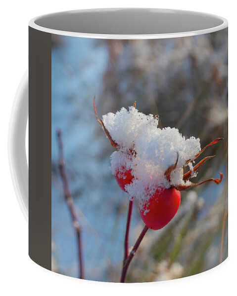 Rose Hips Coffee Mug featuring the photograph Snow On Rose Hips by Phil And Karen Rispin