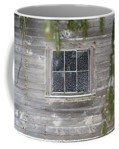 Boards Coffee Mug featuring the photograph Snow on the Pane by Brooke Bowdren