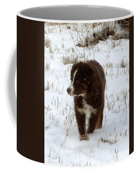 Pup Coffee Mug featuring the photograph Snow Pup by Katie Keenan
