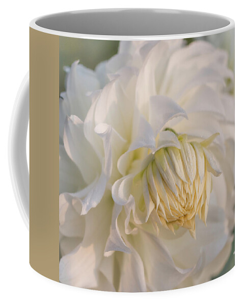 Gardens Coffee Mug featuring the photograph Snowbound Dahlia at Sunrise by Teresa Wilson