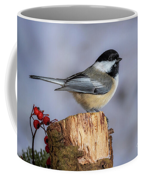 Bird In Winter Coffee Mug featuring the photograph Snowflake Necklace by Peg Runyan