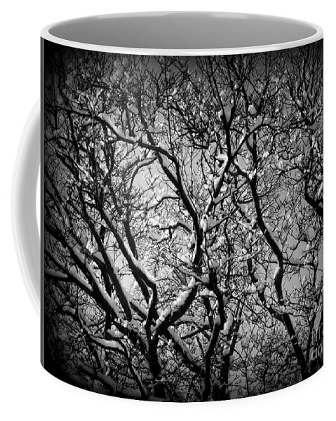 Landscape Photography Coffee Mug featuring the photograph Snowy Branches Interplay - Black and White by Frank J Casella