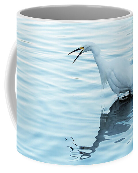 Snowy Egret Coffee Mug featuring the photograph Snowy Egret 4005-011320-2 by Tam Ryan