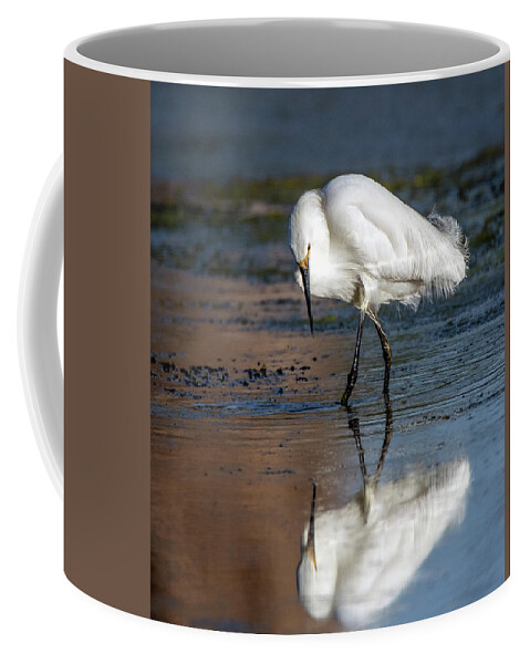 Snowy Egret Coffee Mug featuring the photograph Snowy Egret 7384-052821-2 by Tam Ryan