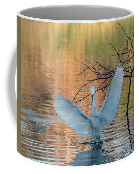 Snowy Egret Coffee Mug featuring the photograph Snowy Egret 9562-013021-2 by Tam Ryan