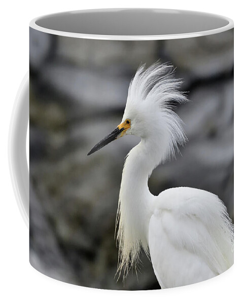 Snowy Egret Coffee Mug featuring the photograph Snowy Egret Waiting for a Flight by Amazing Action Photo Video