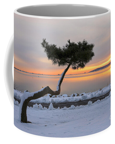 Sunrise Coffee Mug featuring the photograph Snowy February sunrise by Janice Drew