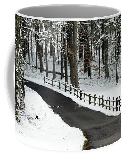 Snowy Road Coffee Mug featuring the photograph Snowy Fence by Mike Murdock