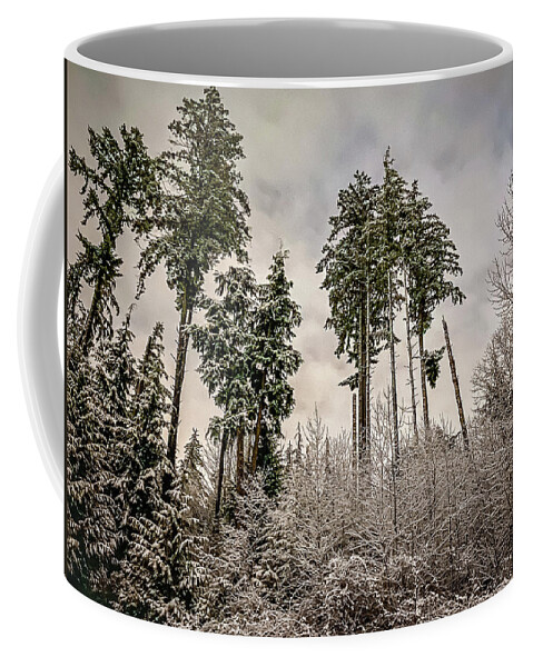 Forest Coffee Mug featuring the photograph Snowy Forest by Anamar Pictures