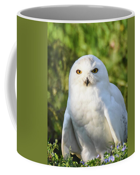 Bird Coffee Mug featuring the photograph Snowy Owl by Ed Stokes