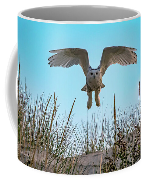 Owl Coffee Mug featuring the photograph Snowy Owl In Flight by Cathy Kovarik