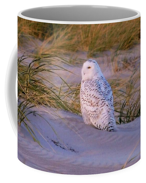 - Snowy Owl Coffee Mug featuring the photograph - Snowy Owl by THERESA Nye