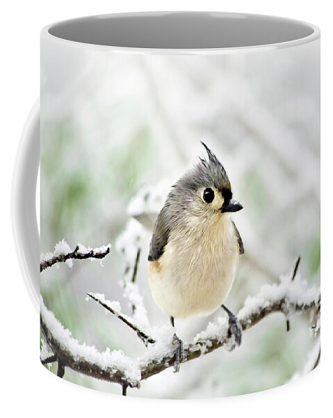 Bird Coffee Mug featuring the mixed media Snowy Tufted Titmouse by Christina Rollo