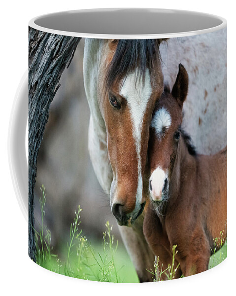 Cute Foal Coffee Mug featuring the photograph Snuggles by Shannon Hastings