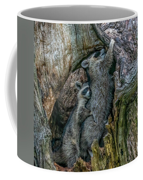  Coffee Mug featuring the photograph Snuggles With Mom by Marcy Wielfaert