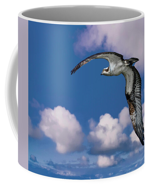 Backyard Coffee Mug featuring the photograph Soaring Osprey by Larry Marshall