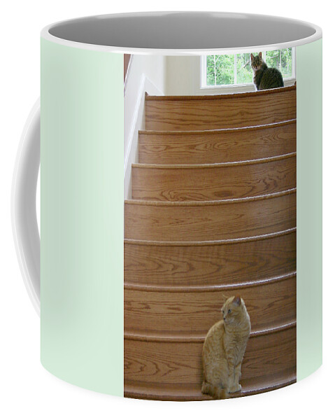 Social Distancing Coffee Mug featuring the photograph Social Distancing by Patty Colabuono