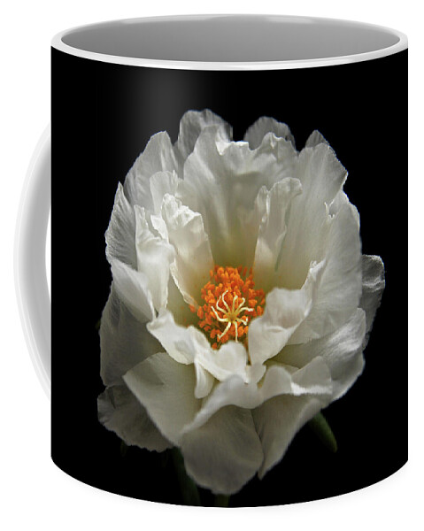 Moss-rose Coffee Mug featuring the photograph Soft and Pure by Judy Vincent