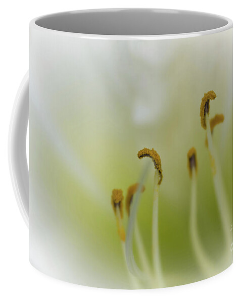 Flower Coffee Mug featuring the photograph Soft Dreamy and Pearly Daylily by Amy Dundon