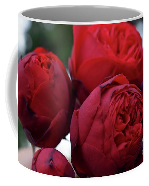 Nature Coffee Mug featuring the photograph Soft Kisses Of Rose by Leonida Arte