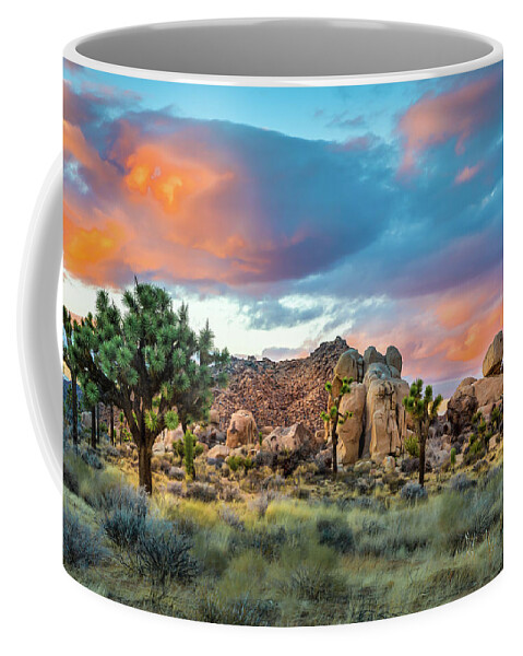 Desert Plants Coffee Mug featuring the photograph Soft Sunset at Joshua Tree by Peter Tellone