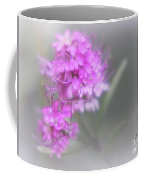 Flowers Coffee Mug featuring the photograph Softly Hebe by Elaine Teague