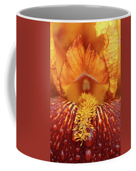 Flower Coffee Mug featuring the photograph Soggy Iris by Lens Art Photography By Larry Trager