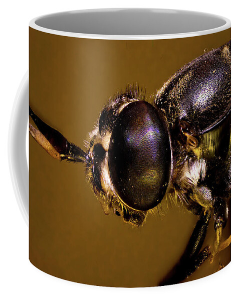 Microscope Coffee Mug featuring the photograph Soldier Fly Portrait by Daniel Reed