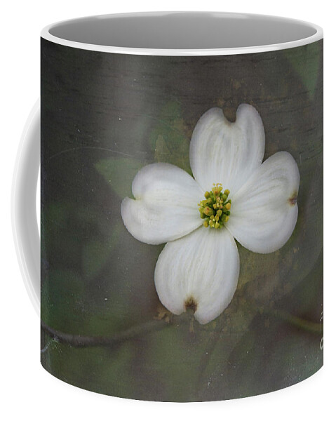Dogwood Coffee Mug featuring the photograph Solitary Dogwood Bloom by Amy Dundon