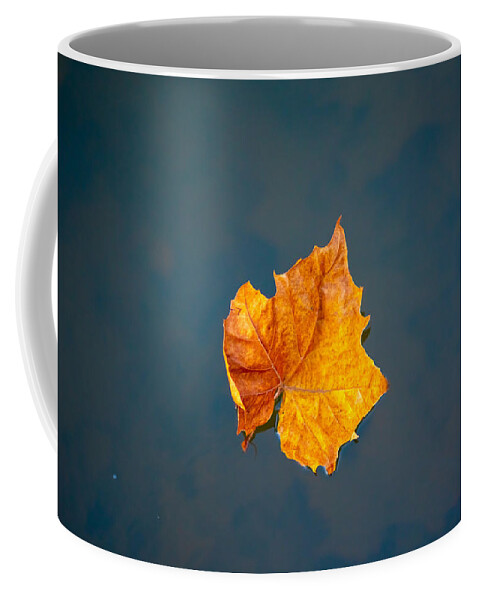 Photo Coffee Mug featuring the photograph Solitary Leaf on Water by Evan Foster