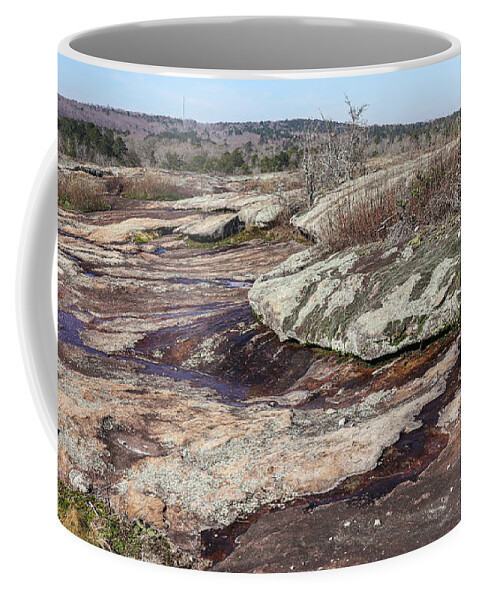 Arabia Mountain Coffee Mug featuring the photograph Some Arabia Mountain Topography by Ed Williams