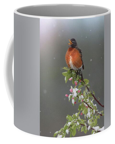  Coffee Mug featuring the photograph Song of Hope by Rob Blair