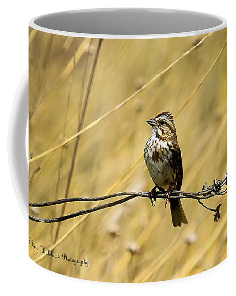 Birds Coffee Mug featuring the photograph Song Sparrow by Mary Walchuck