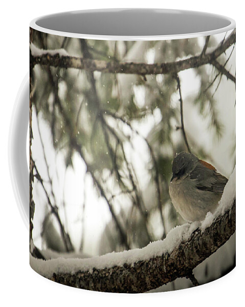 Wildlife Coffee Mug featuring the photograph Songbird in Winter by Laura Putman
