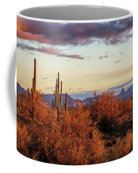 American Southwest Coffee Mug featuring the photograph Sonoran Glory by Rick Furmanek
