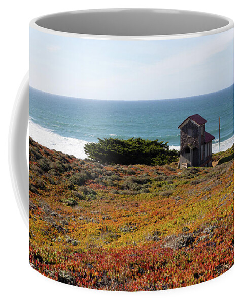 Wingsdomain Coffee Mug featuring the photograph South Beach Point Reyes California R1893 by San Francisco
