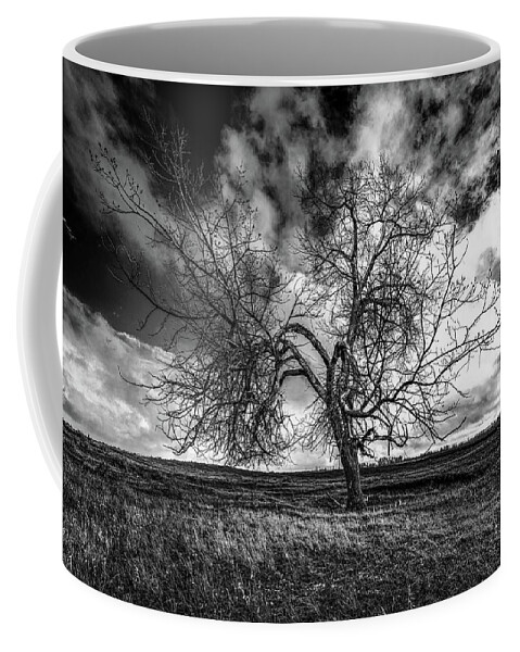 Tree Coffee Mug featuring the photograph South Monochrome by Darcy Dietrich