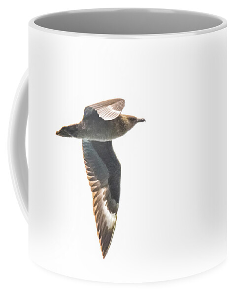 03feb20 Coffee Mug featuring the photograph South Polar Skua In Flight by Jeff at JSJ Photography